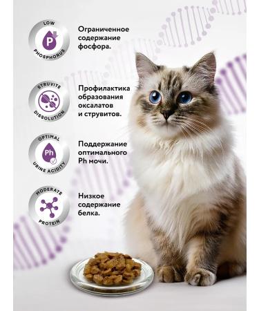 Miratorg Wet food for cats Expert Renal 80 g x 24 pcs - Buy Online on GoSupps.com