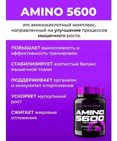 Scitec Nutrition Amino acid complex SN Amino 5600 - Buy Online on GoSupps.com