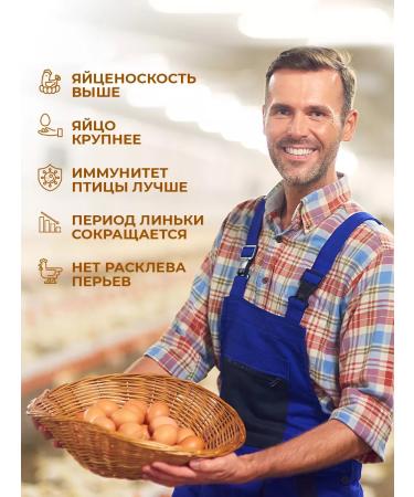 Inprotein 15  - Buy Online on GoSupps.com