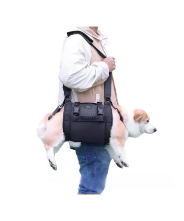MPSALER Walks for dogs. L. - Buy Online on GoSupps.com