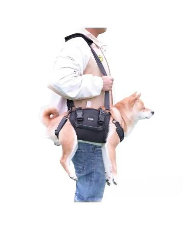 MPSALER Walks for dogs. M - Buy Online on GoSupps.com