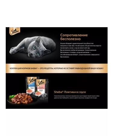 arfa home Sheba collection of wet food for cats 75 g x 20 pieces - Buy Online on GoSupps.com