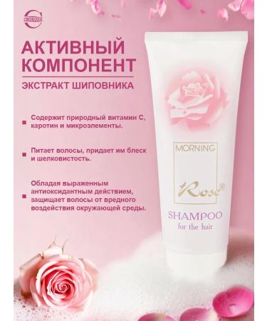 FREEDOM Shampoo morning rose 2pcs 76g - Buy Online on GoSupps.com