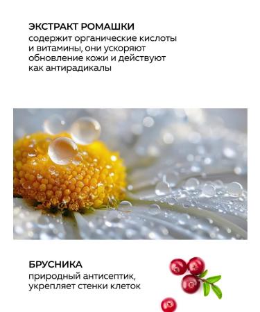 Green Mama Foam for washing the face of chamomile and lingonberries 300 ml - 2 pcs - Buy Online on GoSupps.com