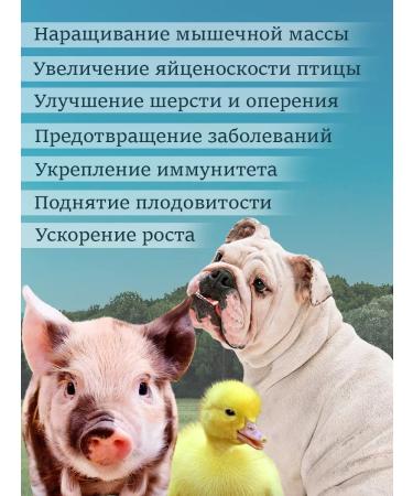 KORMIS Fish flour for dogs of cats and animals 3kg - Buy Online on GoSupps.com