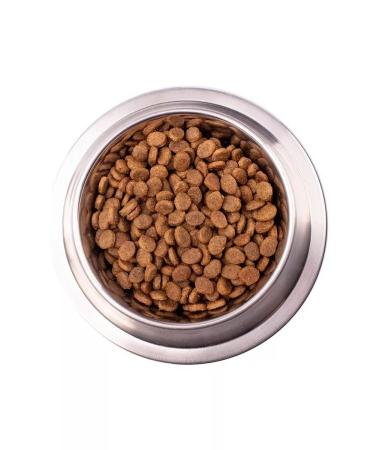 MONGE VetSolution DOG DOG DERMATOSIS Veterinary Diet 12 kg - Buy Online on GoSupps.com