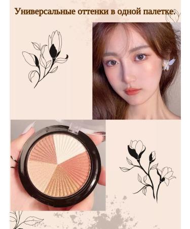 Filipppova Palette for contouring highlighter powder - Buy Online on GoSupps.com