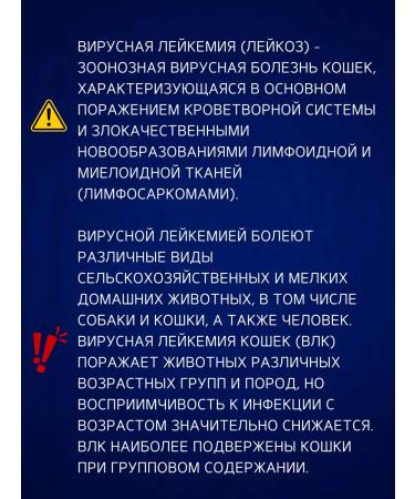 QBQVet Express test viral leukemia - Buy Online on GoSupps.com