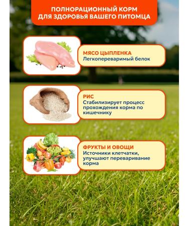 Pet's Brunch Dry food for dogs of miniature rocks 4 kg - Buy Online on GoSupps.com