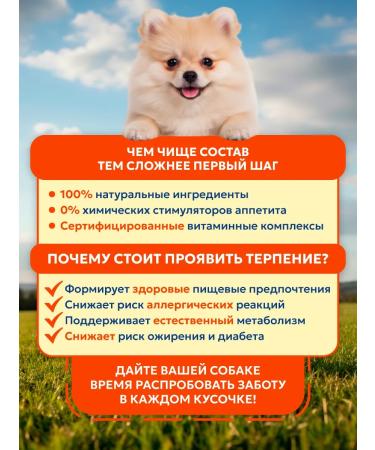 Pet's Brunch Dry food for dogs of miniature rocks 4 kg - Buy Online on GoSupps.com