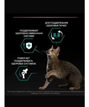 PRO PLAN Pp adult renal plus cat food chicken 1.5 kg - Buy Online on GoSupps.com