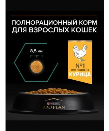 PRO PLAN Pp adult renal plus cat food chicken 1.5 kg - Buy Online on GoSupps.com