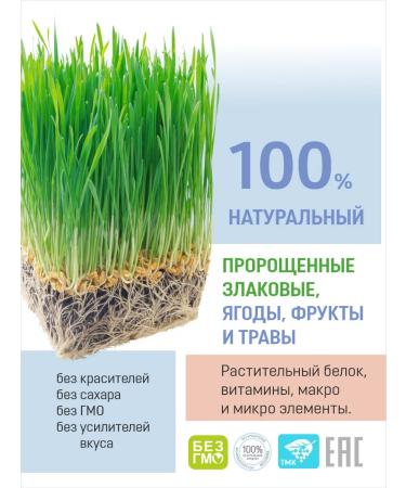 Master Doctor Vegetable vegan protein with vitamins without sugar - Buy Online on GoSupps.com