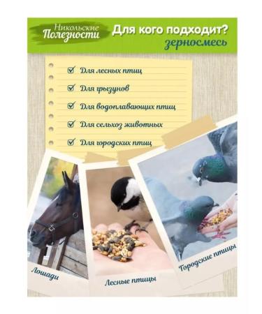Nikolsky Usefulness Feed-sorely grain for birds of pigeons protein of rodents - Buy Online on GoSupps.com