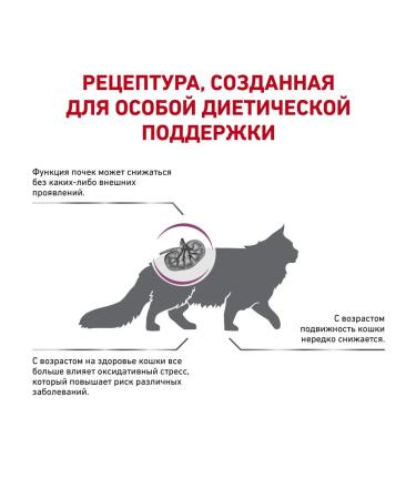 ROYAL CANIN Dry food Early Renal for cats 400 grams - Buy Online on GoSupps.com