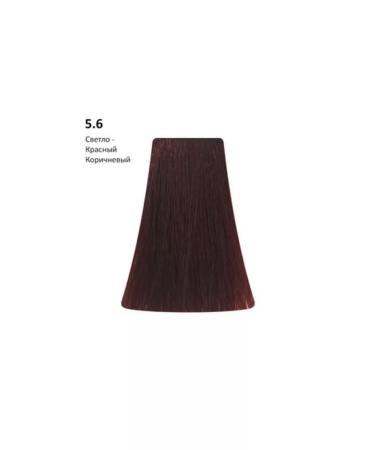 BB One 5.6 light brown red paint Picasso Color Range 100 ml - Buy Online on GoSupps.com