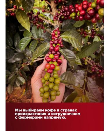 Atlas Coffee Summer Fruit coffee Brazil 100% Arabica 1 kg - Buy Online on GoSupps.com