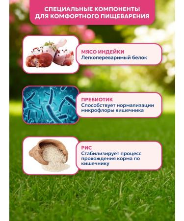 Pet's Brunch Dry food for dogs of small breeds with a turkey 4 kg - Buy Online on GoSupps.com