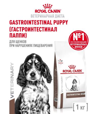 ROYAL CANIN Dry food for gastrointestinal puppy puppies 1 kg