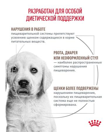 ROYAL CANIN Dry food for gastrointestinal puppy puppies 1 kg - Buy Online on GoSupps.com