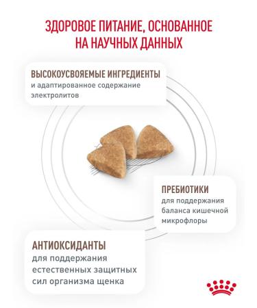 ROYAL CANIN Dry food for gastrointestinal puppy puppies 1 kg - Buy Online on GoSupps.com