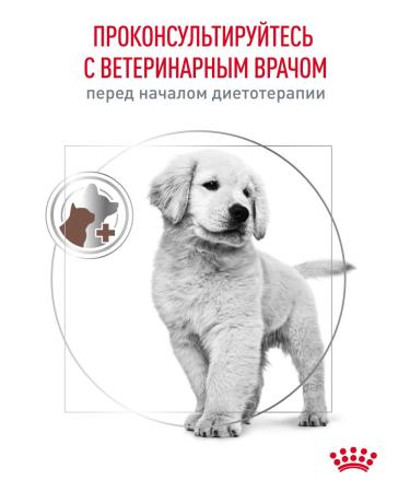 ROYAL CANIN Dry food for gastrointestinal puppy puppies 1 kg - Buy Online on GoSupps.com