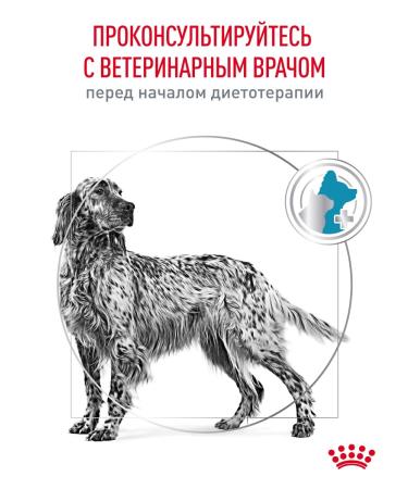 Royal Canin Dry food for dogs Sensitivity Control 7 kg - Buy Online on GoSupps.com