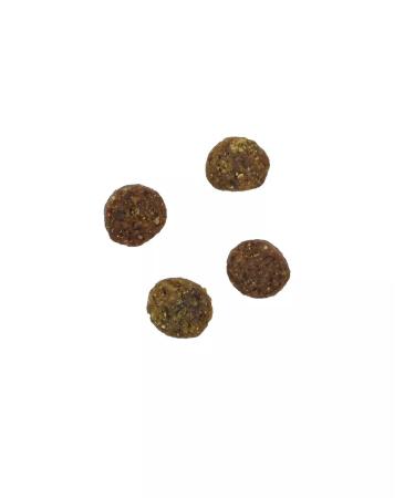 SAVITA Feed for sterilized cats with lamb and brown rice 5kg - Buy Online on GoSupps.com