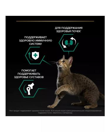 PRO PLAN Cat food dry with chicken 1.5 kg - Buy Online on GoSupps.com