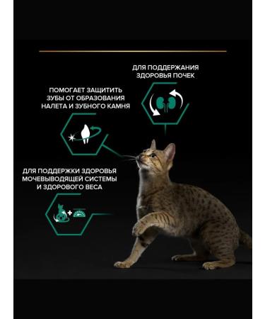 PRO PLAN Sterilated Renal Plus cat food kidney health rabbit 3kg - Buy Online on GoSupps.com