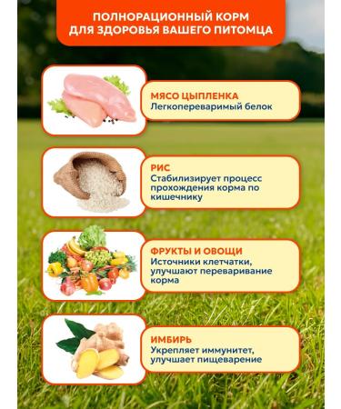 Pet's Brunch Dry food for dogs of medium breeds with chicken 4 kg - Buy Online on GoSupps.com