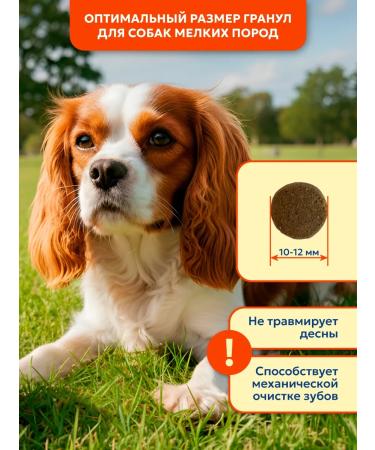 Pet's Brunch Dry food for dogs of small breeds with chicken 4 kg - Buy Online on GoSupps.com