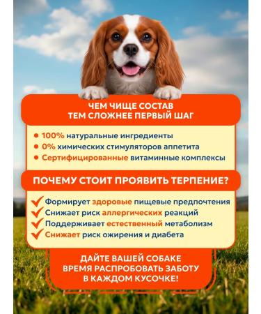 Pet's Brunch Dry food for dogs of small breeds with chicken 4 kg - Buy Online on GoSupps.com