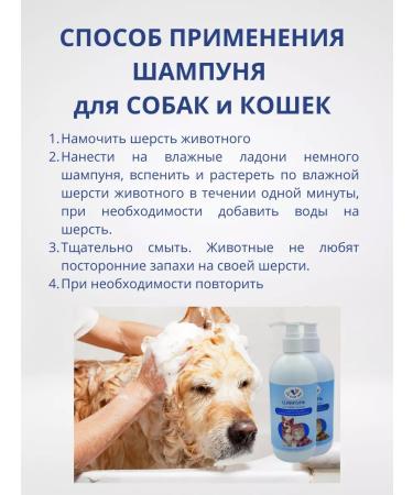 D&C Shop Shampoo for dogs and cats with chlorhexidine 4% 2 pcs - Buy Online on GoSupps.com