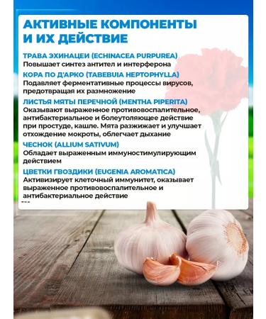 Areda phytocomplexes Antiviral phytocomplex vitator. - Buy Online on GoSupps.com