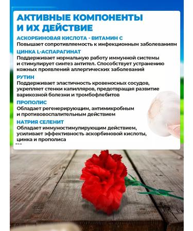 Areda phytocomplexes Antiviral phytocomplex vitator. - Buy Online on GoSupps.com