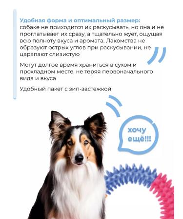 Holly Jolly Dog delicacies Bones 90g*3pcs - Buy Online on GoSupps.com