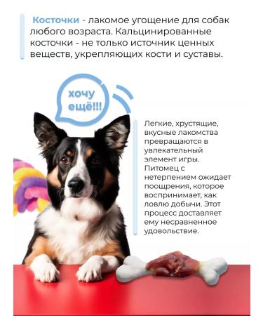 Holly Jolly Dog delicacies Bones 90g*3pcs - Buy Online on GoSupps.com