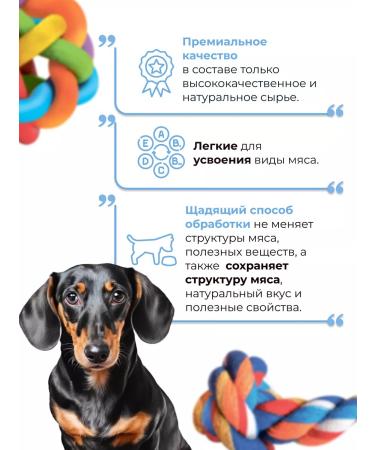 Holly Jolly Goodies for small dogs Medallion 60g*3pcs - Buy Online on GoSupps.com