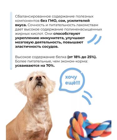 Holly Jolly Goodies for small dogs Medallion 60g*3pcs - Buy Online on GoSupps.com