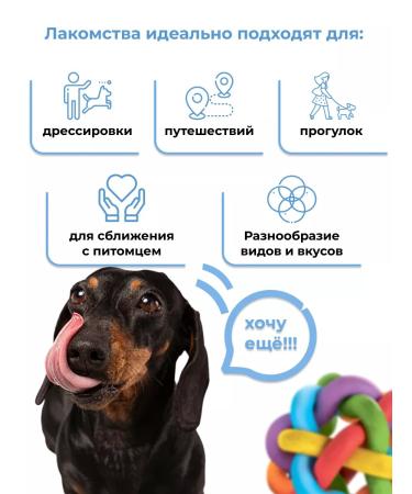 Holly Jolly Goodies for small dogs Medallion 60g*3pcs - Buy Online on GoSupps.com