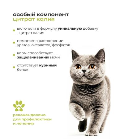 Grasy & Finn Dry Urinary cat food for sterilized 2.5 kg - Buy Online on GoSupps.com