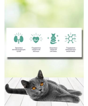 Brit Dry food for sterilized cats Urinary Care 400g - Buy Online on GoSupps.com