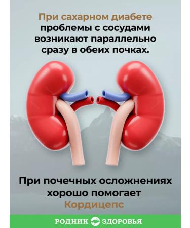 Spring of Health Cordyceps - Buy Online on GoSupps.com