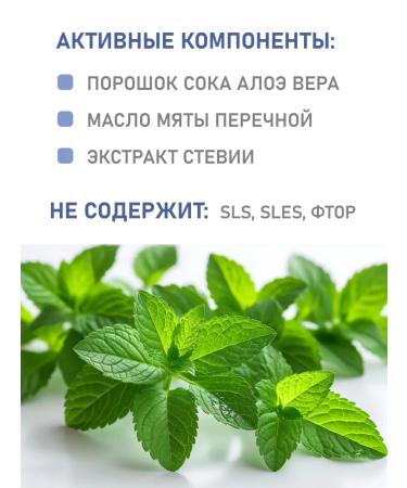 COSLYS A set of natural refreshing toothpastes "Mint" 100g 2 pcs - Buy Online on GoSupps.com