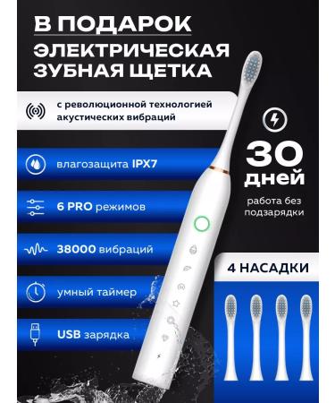 Kari Land Irrigate system for teeth with nozzles - Buy Online on GoSupps.com