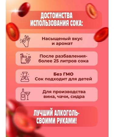 AZOV BREWERY Fruit Kizil 5kg juice concentrate - Buy Online on GoSupps.com