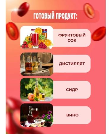 AZOV BREWERY Fruit Kizil 5kg juice concentrate - Buy Online on GoSupps.com