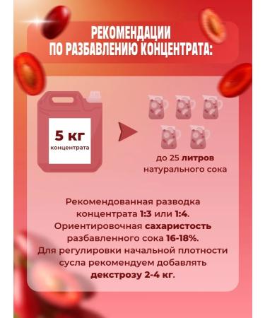 AZOV BREWERY Fruit Kizil 5kg juice concentrate - Buy Online on GoSupps.com