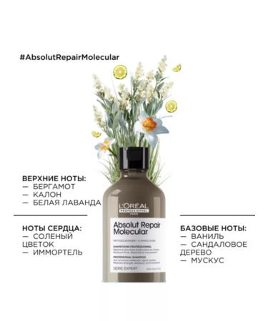 L'Oreal Professionnel ABSOLUT Repair Molecular Hair Restoration - Buy Online on GoSupps.com